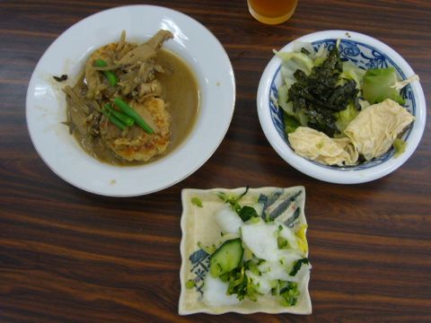 06-10-28豆腐ハンバーグ